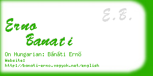 erno banati business card
