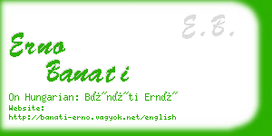 erno banati business card